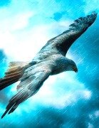 Cover-Bild zum Titel 'Fantasy Notizbuch: Adler im Sturm - weiße Seiten mit Eckmotiv' von 'Samuriel Sternenfeuer'
