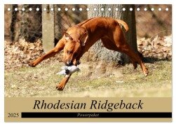 Rhodesian Ridgeback Powerpaket (Tischkalender 2025 DIN A5 quer), CALVENDO Monatskalender - Dagmar Behrens