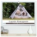 Lagotto Romagnolo - Spiel und Spaß in der Welpenzeit (hochwertiger Premium Wandkalender 2025 DIN A2 quer), Kunstdruck in Hochglanz - Sonja Teßen