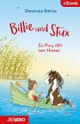 Cover-Bild zum Titel 'Billie und Stüx. Ein Pony fällt vom Himmel' von 'Dorothée Böhlke'