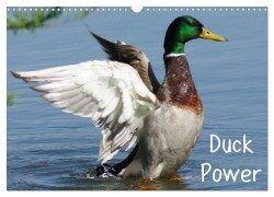 Duck Power (Wandkalender 2025 DIN A3 quer), CALVENDO Monatskalender - Kattobello Kattobello