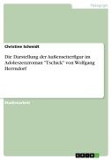 Cover-Bild zum Titel 'Die Darstellung der Außenseiterfigur im Adoleszenzroman "Tschick" von Wolfgang Herrndorf' von 'Christine Schmidt'