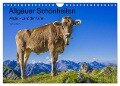 Allgäuer Schönheiten Allgäu - Land der Kühe (Wandkalender 2024 DIN A4 quer), CALVENDO Monatskalender - Walter G. Allgöwer