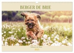 Berger de Brie - Fellnase mit Herz (Wandkalender 2025 DIN A3 quer), CALVENDO Monatskalender - Sonja Teßen