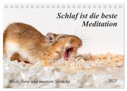 Schlaf ist die beste Meditation (Tischkalender 2025 DIN A5 quer), CALVENDO Monatskalender - Kerstin Waurick