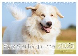 Pyrenäenberghunde (Wandkalender 2025 DIN A3 quer), CALVENDO Monatskalender - Carola Schubbel