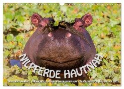 Emotionale Momente: Nilpferde hautnah (Wandkalender 2025 DIN A3 quer), CALVENDO Monatskalender - Ingo Gerlach GDT