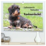 Cover-Bild zum Titel 'Liebenswerte Rabauken Rauhaardackel / CH-Version (hochwertiger Premium Wandkalender 2026 DIN A2 quer), Kunstdruck in Hochglanz' von 'Barbara Mielewczyk'