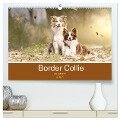 Border Collie - Bunt und clever! (hochwertiger Premium Wandkalender 2024 DIN A2 quer), Kunstdruck in Hochglanz - Andrea Mayer Tierfotografie
